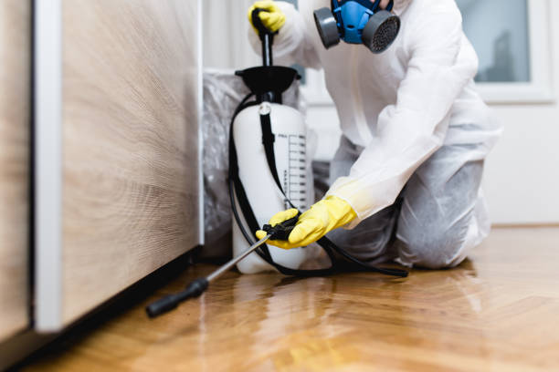 Best Residential Pest Control  in Taylor, PA