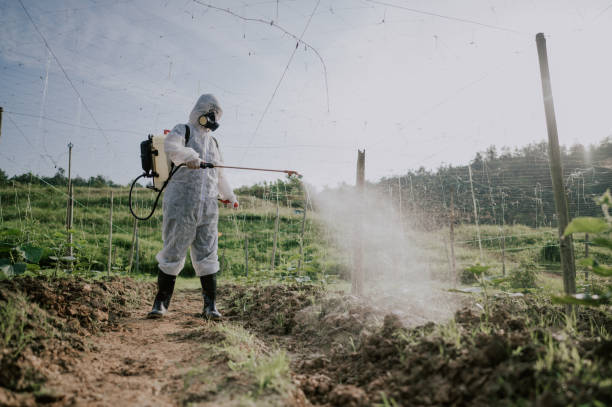 Best Pest Prevention Services  in Taylor, PA