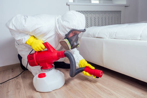 Best Emergency Pest Control  in Taylor, PA