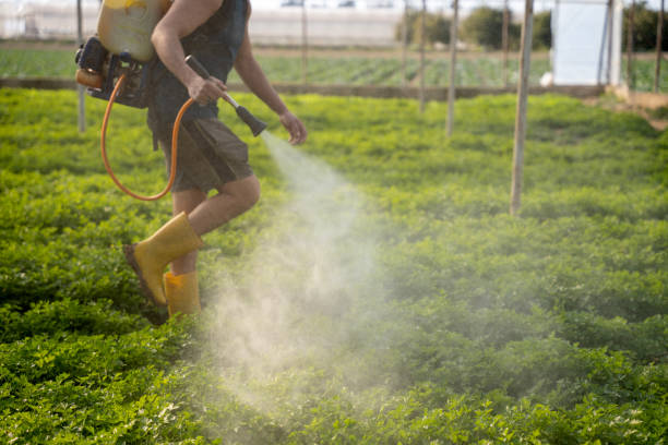 Best Affordable Pest Control Services  in Taylor, PA