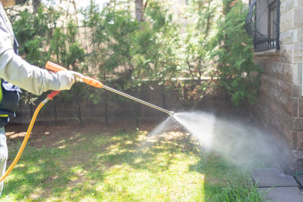 Best Residential Pest Control  in Taylor, PA