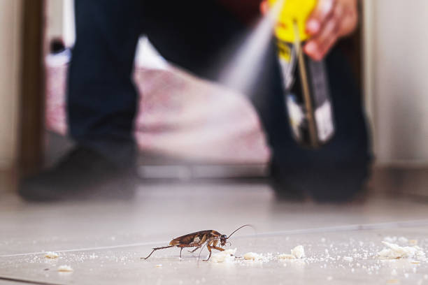Professional Pest Control in Taylor, PA