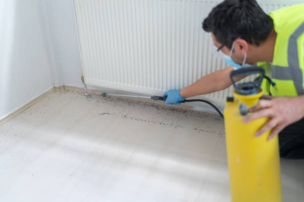 Best Emergency Pest Control  in Taylor, PA